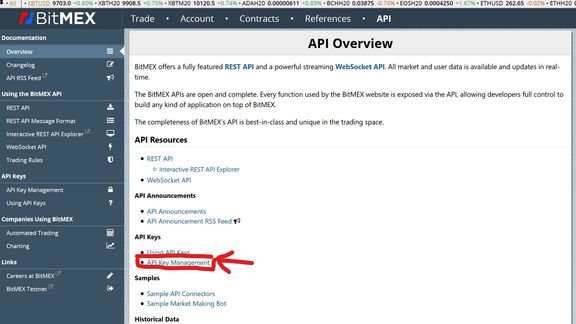 irRICH - Bitmex API Mirror Trading